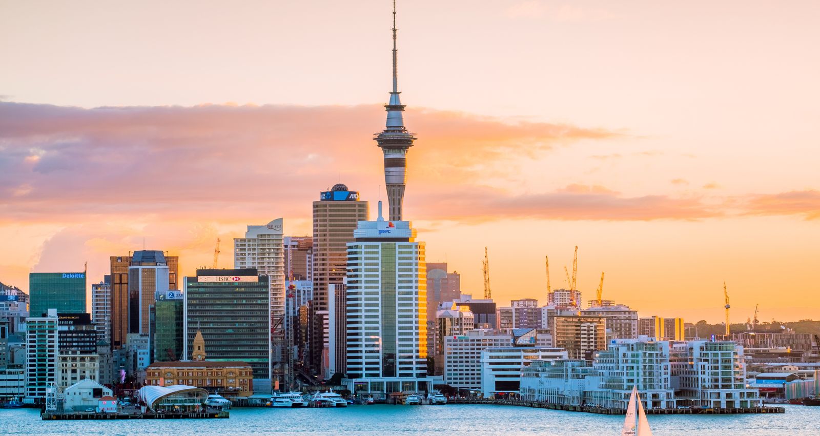 private jet charter to auckland to see the sky tower